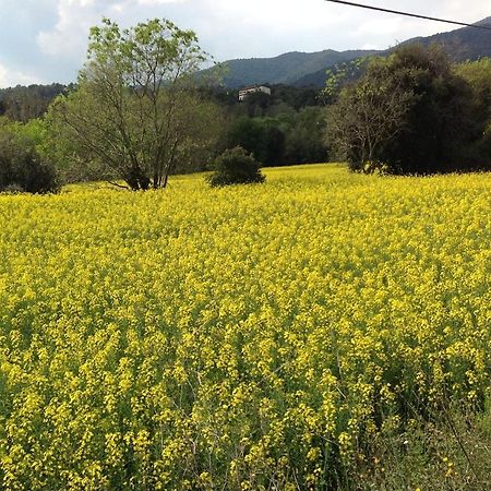 Casa Rural Can Panxa Sant Pere de Vilamajor Ngoại thất bức ảnh