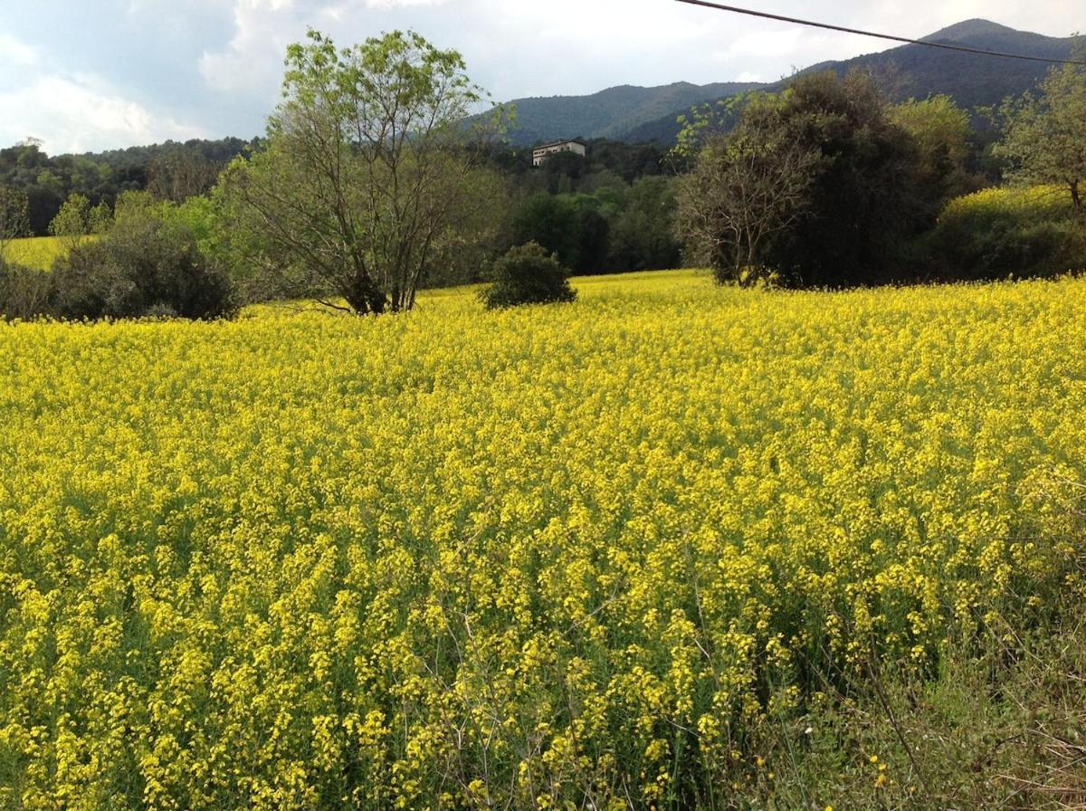 Casa Rural Can Panxa Sant Pere de Vilamajor Ngoại thất bức ảnh